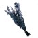 Sukhotzet "eucalyptus tree", blue, 10 pcs. packaged