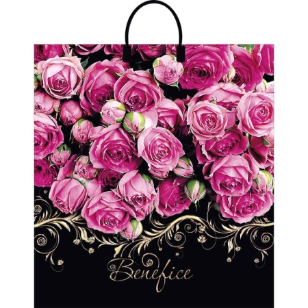Benifis package, plastic pen with a plastic pen, 40 x 44, 100 μm
