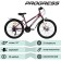 Bicycle 24 "Progress Ingrid Pro Rus, burgundy color, p. 15"