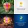 Lamp Garden Era on the Solar Battery "Ball" LED, IP54