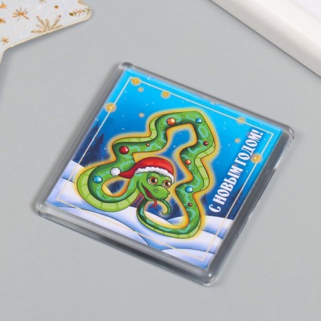 Acryl Magnet "Snake. Mix" 5.7x5.7 cm mix 10 types-3