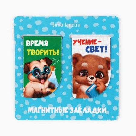 Gift set for graduation in the folder of 7 items "Graduate of kindergarten"-14