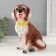 Piggy bank "Dog Tuzik" brown, 21.5 cm