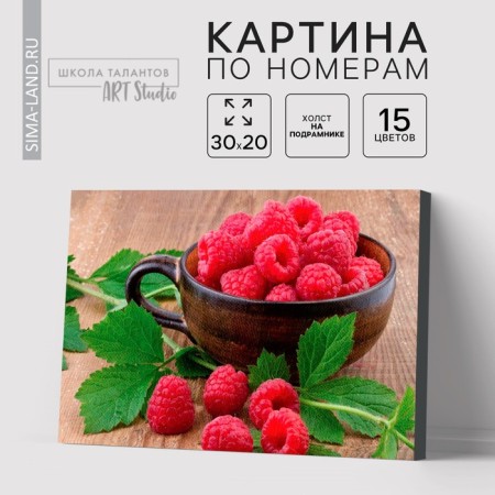 Picture on numbers on canvas with the subframe "Ripe Raspberry", 30x20 cm