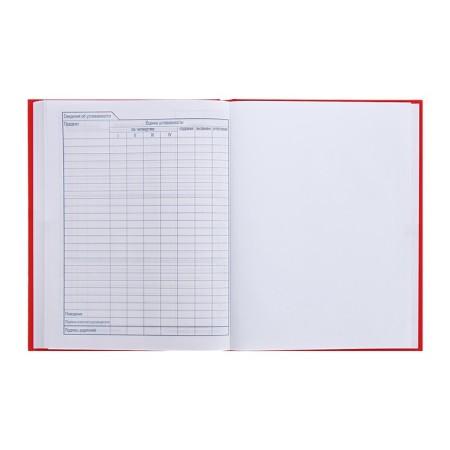 Universal diary for grades 1-11 Russia, hard cover, glossy lamination, 40 sheets-8