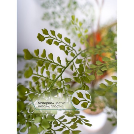 Curly fern in a cement pot, 125 × 125 × 710 mm, green / white / beige color-3