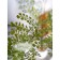 Curly fern in a cement pot, 125 × 125 × 710 mm, green / white / beige color