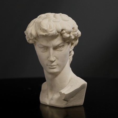 Gypsum figure "head of David" 8 x 12.5, white-2