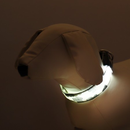 Collar with Militari's backlight 3 glow modes Size S, Osh 22-40 x 2.5 cm gray gray-1