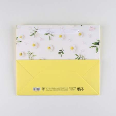 Package Gift Laminated Horizontal, Packaging, Flower Happiness, ML 27 x 23 x 11.5 cm-4