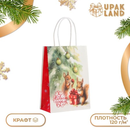 New Year. Package Paper Gift New Year craft "Proteins" 15 x 21 x 8 cm.