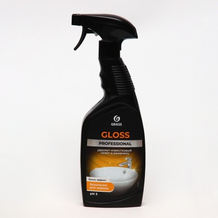 Gloss Professional toilet cleaning tools, 600 ml