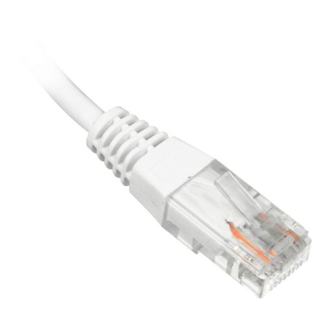 The Lanmaster TWT-45-45-0.5-WH UTP RJ-45 patch-1