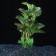 Aquarium plant "In a pot", 31 x 23 x 19 cm