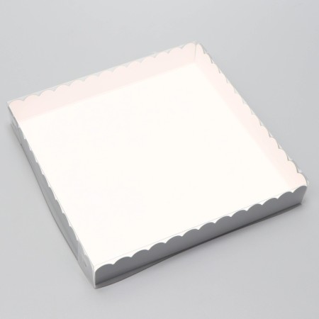 Box for cookies, silver, 20 x 20 x 3 cm-2