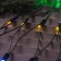 Garland "network" 2 x 1.5 m, IP44, UMS, dark thread, 192 LED, glow of multi, 220 V