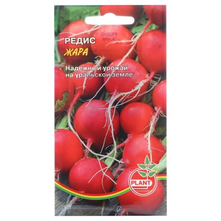 Seeds Radis "Heat", 1 g