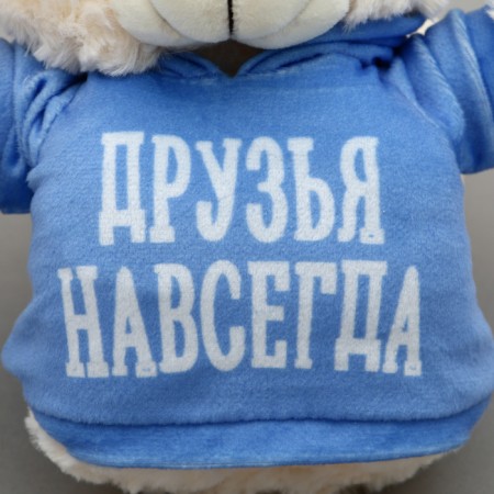 Soft toy Bear "Friends Forever" in the jacket-4