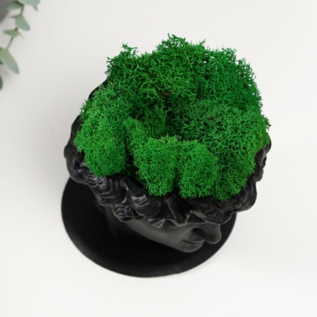 Concrete Kashpo "David" with moss black 11.5x15.5x12 cm (moss green stabilized)-4