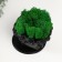 Concrete Kashpo "David" with moss black 11.5x15.5x12 cm (moss green stabilized)