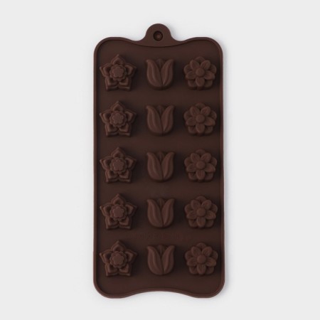 Form for chocolate “Polyana”, silicone, 20.5 × 10.5 × 1.5 cm, 15 cells (2.3 × 2.3 cm), brown color-1