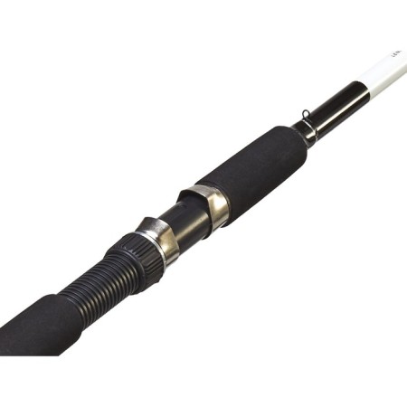 Spinning Salmo Blaster Spin 80, test 20-80, length 2.1 m.-2