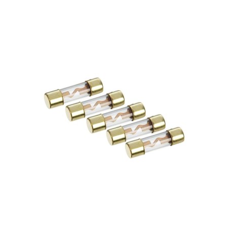 Ural AGU-DB30 fuse, 30 amperes, set 5 pcs.