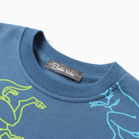 Sweatshirt for boys, jeans/dino color, height 110 cm-1