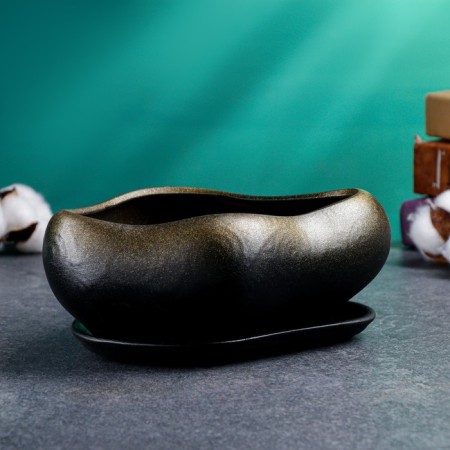 Bonsai Small pot of gold, 0.6, l/ 17x14x8cm-2