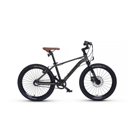 Bicycle 20 ’’ maxiscoo 7bike m700, graphite color
