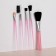 A set of makeup brushes, 5 objects, pink color