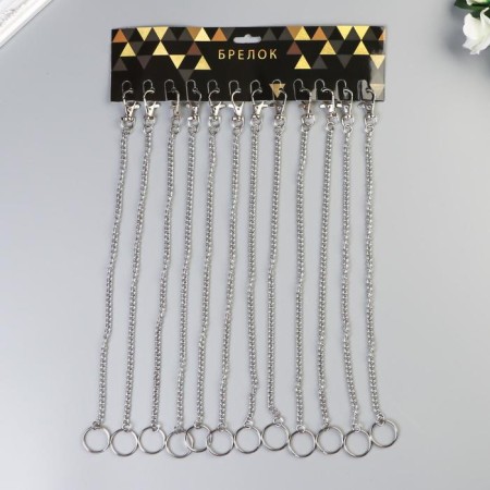 Chain d/keys with a carbine 3.5x1.3 cm on a ring d = 3 cm twisted silver 30 cm-2