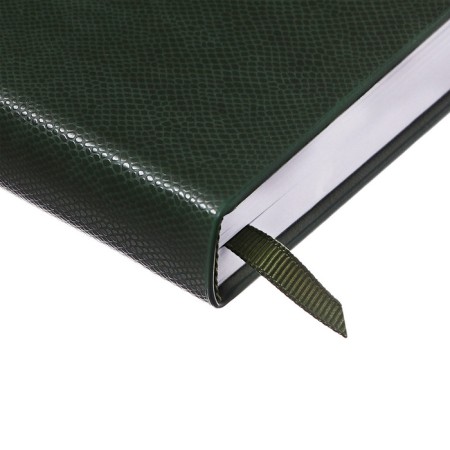 Dated diary of 2025, A6+, 176 sheets "Lyon", solid cover, pancake embossing, with liesa, block 80 g/m2, green-2