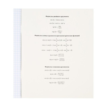 A notebook “Magic”, 48 sheets in the “Algebra” cage, covered cardboard, cold foil, twin varnish, offset block-4