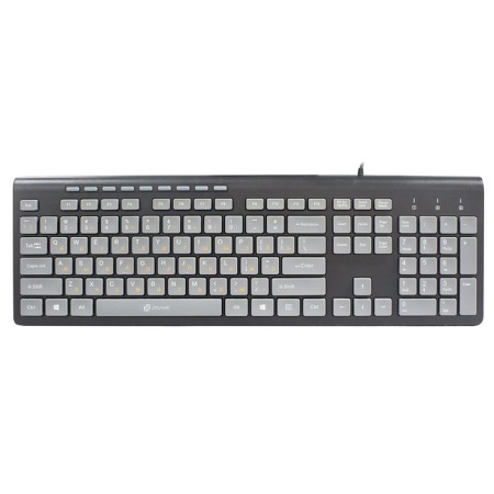 Keyboard Rick 480m Black/Gray USB Slim Multimedia (1067199)