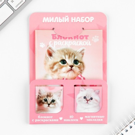 Set of notebook A6, 32 sheets, stickers, magnetic bookmarks "Cute kitten"-11