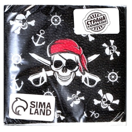 Paper napkins "Pirate", single -layer, 24x24 cm, set 20 pcs.-1