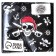 Paper napkins "Pirate", single -layer, 24x24 cm, set 20 pcs.