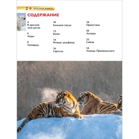 Children's Encyclopedia. Red Book-2