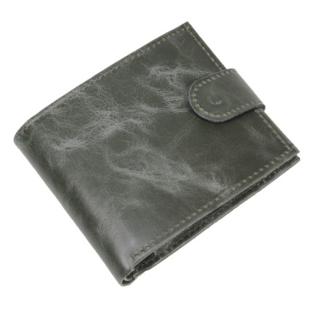 Wallet, button, green button