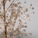 LED figure "Beads" 48x30x3 cm, 20 LED, CR2032X2 batteries (included), glow warm white