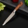 Forest universal shade, blade 12.5 cm, brown color