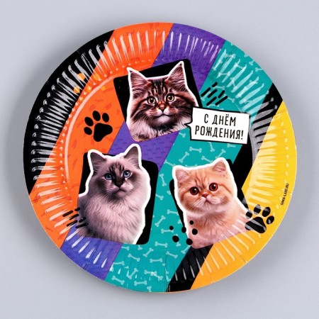 Disposable paper plate "Happy Birthday", cats, 18 cm-1