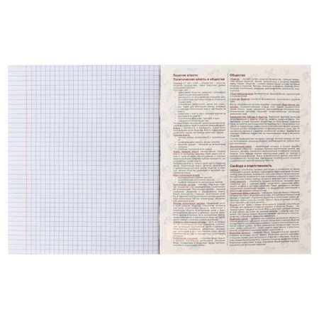 Subject Calligrata Top "sneakers", 48 sheets in the cage of social studies, with reference material, cardboard cover, glossy lamination, offset unit-3