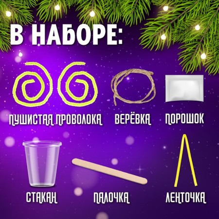 Set for growing crystals "New Year crystals", month-1