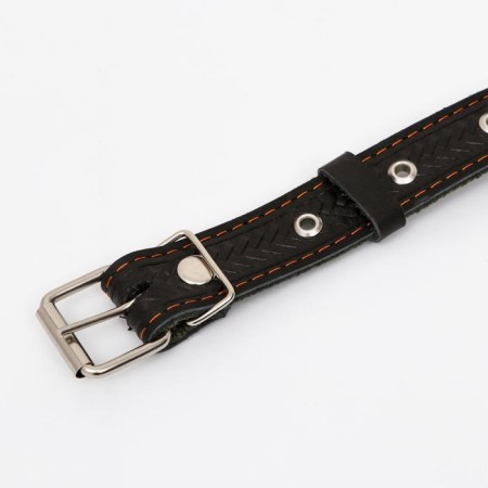 Combined dimensionless collar, leather/tarpaulin, 60 x 3 cm, Osh 30-57 cm, black/green-3