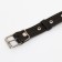 Combined dimensionless collar, leather/tarpaulin, 60 x 3 cm, Osh 30-57 cm, black/green