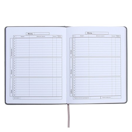 Universal Grade 1-11 Diary, 48 JIUCY sheets, firm artificial leather cover, foil embossing, pancake embossing, rhinestones, liesse-9