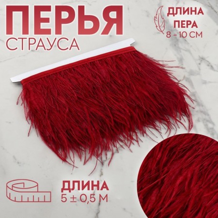 Braid with ostrich feathers, 8-10 cm, 5 ± 0.5 m, burgundy color