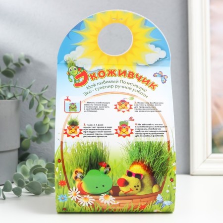 Growing gift Eco -Zhizhivchik "Mole Novice" mix-3